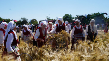Зажънване в село Търнава